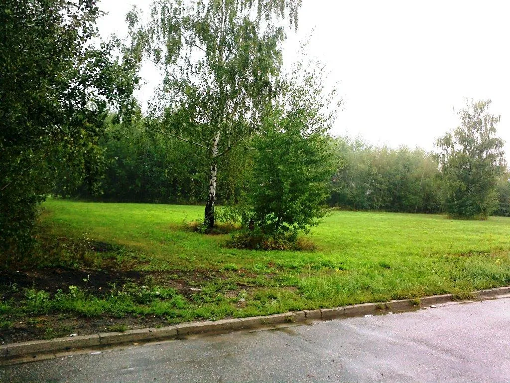 Prodej komerčního pozemku 2500 m²